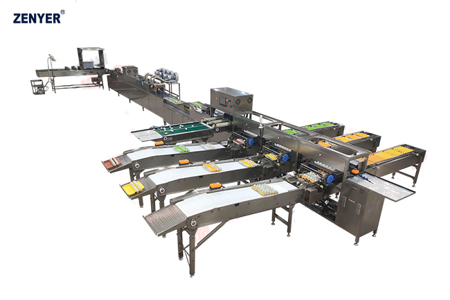 Línea automática de procesamiento de huevos ZYL-JS1-D1-ZP (302A)