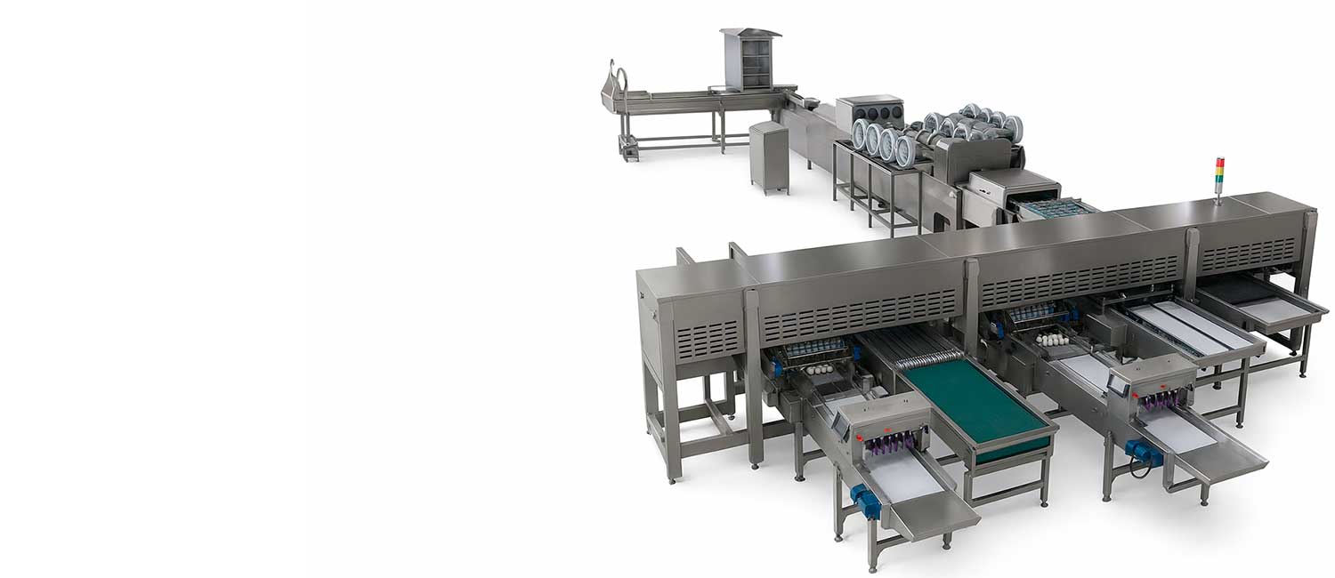 Líneas automáticas para procesamiento de huevos — catálogo ZENYER