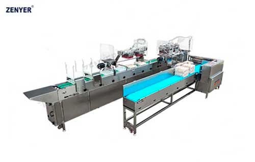 Cargador automático de huevos ZYS-ZK-2J30 (615A) — foto