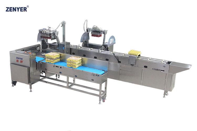 Cargador automático de huevos ZYS-ZK-J30 (615) — foto