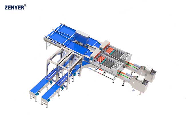 Línea de envasado automático Farm Packer
 XBF-60 (714B) — foto